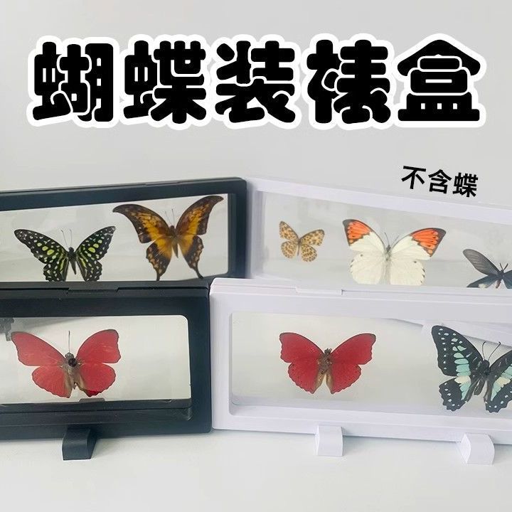 蝴蝶标本展示框昆虫标本盒PE薄膜悬浮盒首饰昆虫蝴蝶标本盒文玩手