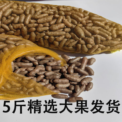 新鲜铁棍山药豆冰糖葫芦糖豆用