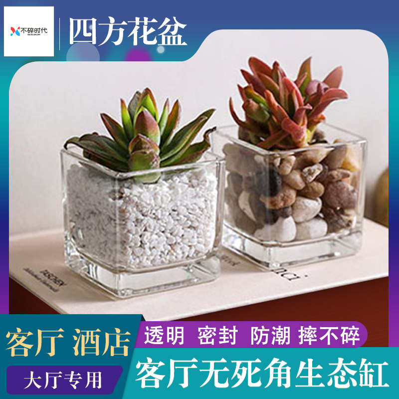 花瓶简约塑料多肉植物花盆