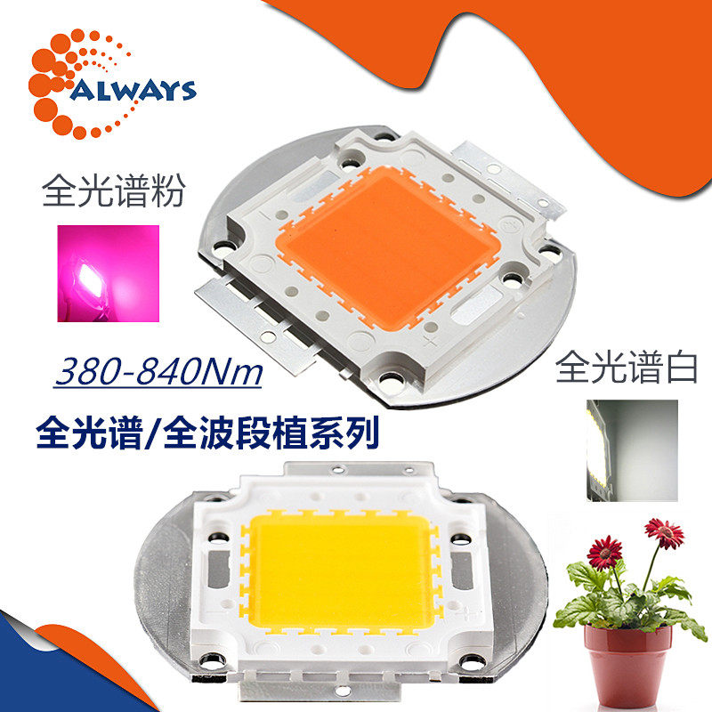 全光谱植物led灯珠灯芯20w30w50w100w白光鱼缸灯粉红光生长补光灯