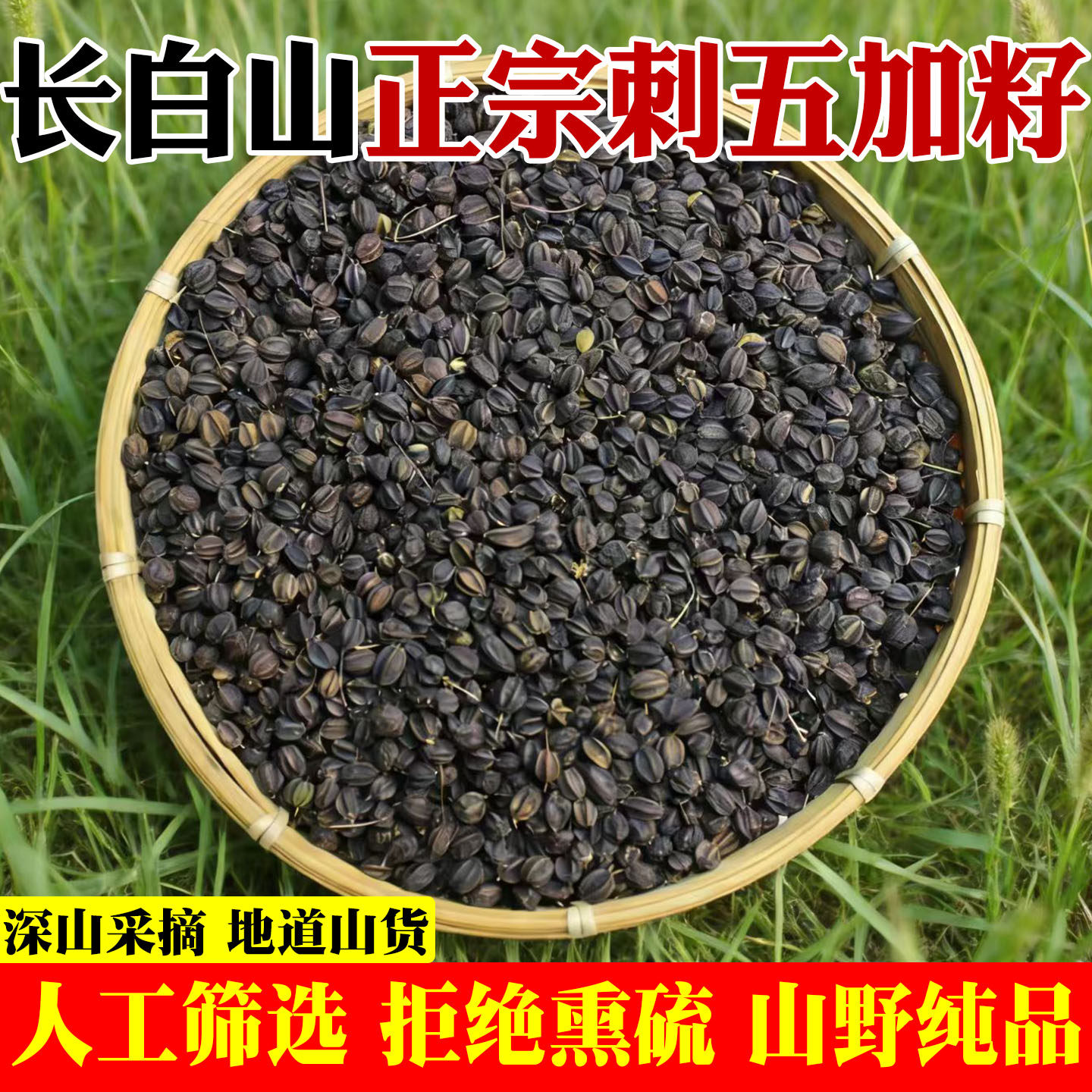 正宗正品刺五加中药材刺五加果刺五加子籽泡酒种子刺骨加皮非野生
