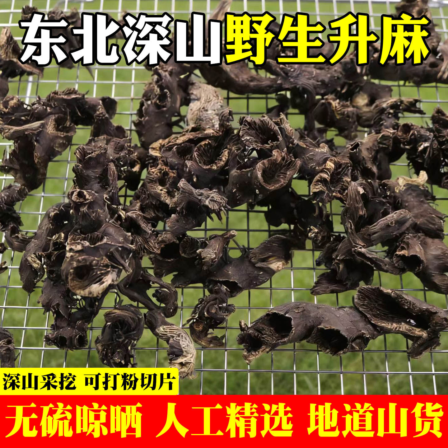 东北野生升麻中药材长白山野生窟窿芽根可磨粉正品精选升麻无硫熏