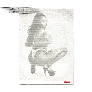 Supreme 17SS Digi Logo Sticker贴纸 数码 像素 裸女 贴画