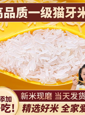 猫牙米长粒香米官方旗舰店大米2025年新米泰国香米丝苗米油粘10斤