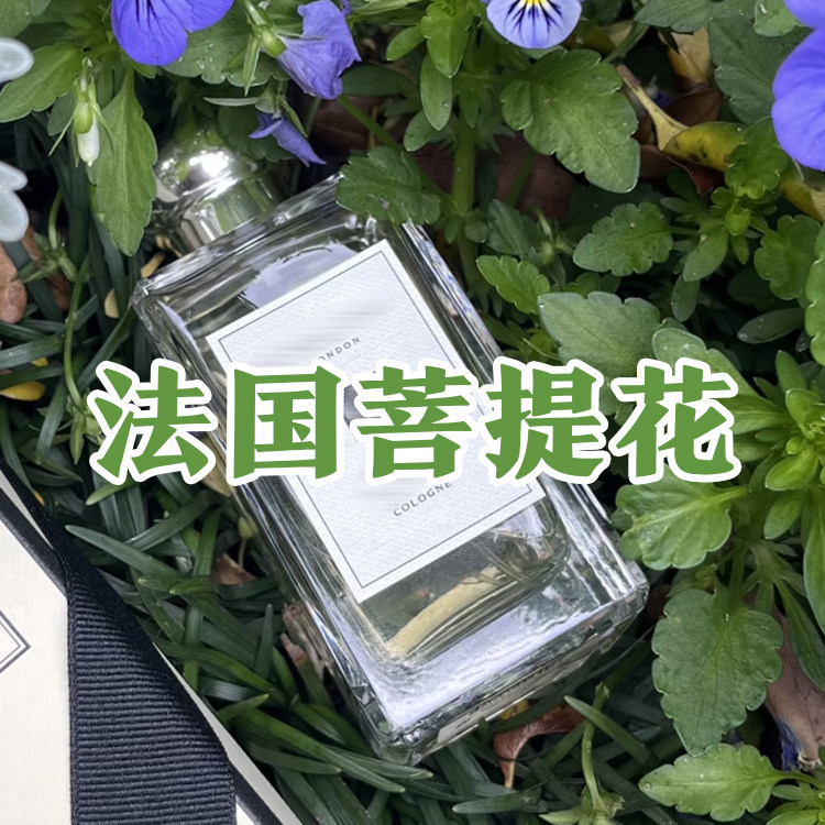 小众沙龙香正品法国菩提花香水