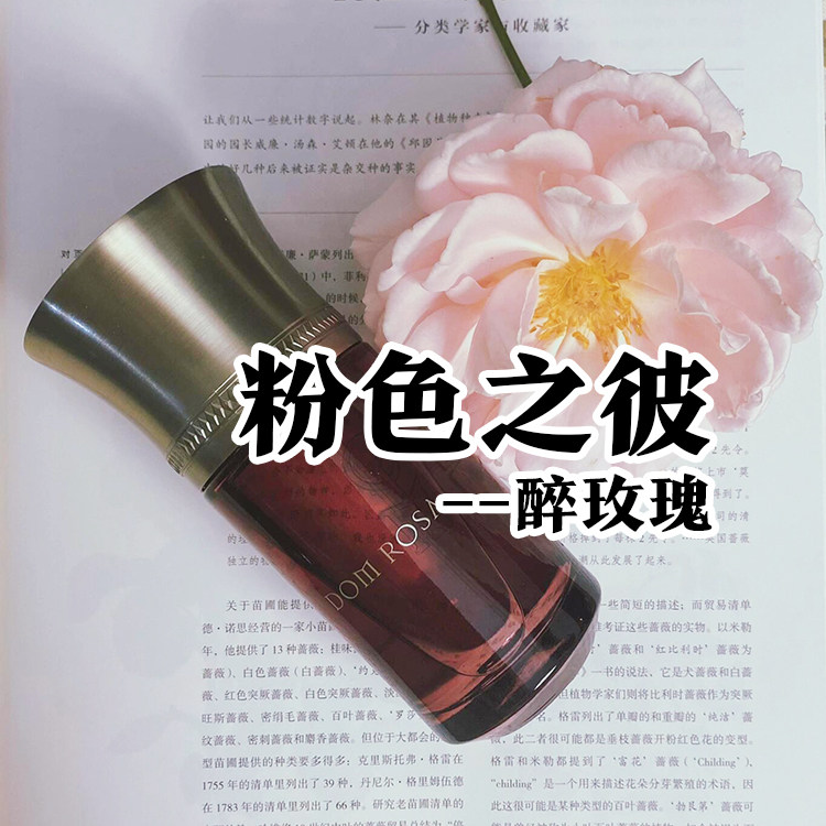 液态正品醉玫瑰粉色之彼香水