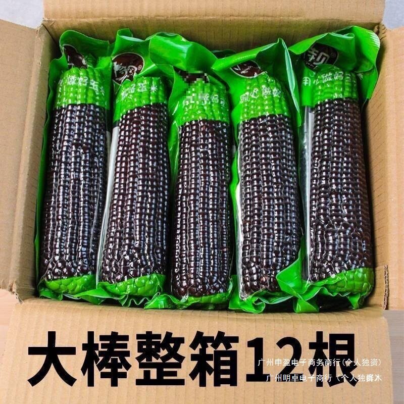 大棒装包黑甜糯糯玉米新黏代餐1玉米