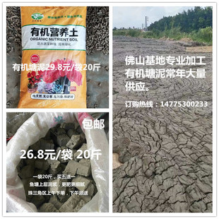 塘泥 养龟 池塘鱼塘荷塘泥土 营养土种菜种花睡莲泥巴 花园种植土