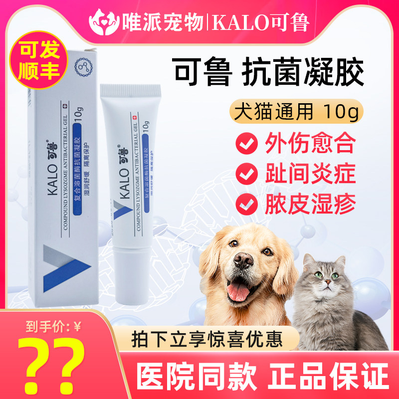 kalo可鲁凝胶10g复合溶菌酶抗菌狗狗猫皮肤病外用趾间炎脚趾炎用