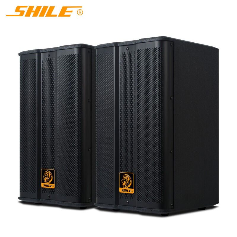 狮乐 BX-503音响8英寸木质壁挂培训舞蹈会议室教学家用卡拉OK音箱
