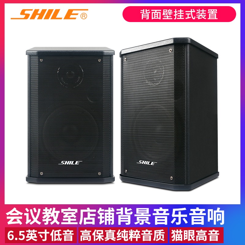 狮乐BX-101室内挂壁音箱高保真HIFI家庭影院背景音乐会议教学音响