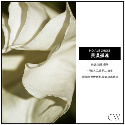 荒漠孤魂CANDLEWORKS香薰精油