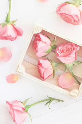 【绒球玫瑰】CANDLEWORKS精油