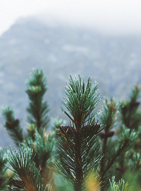 【汉拿山】CANDLEWORKS香薰精油香薰蜡烛DIY材料蜡烛香精香料5组