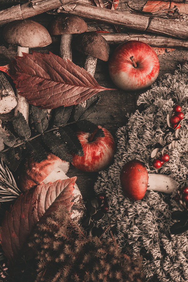 【秋叶青苔】CANDLEWORKS香薰精油香薰蜡烛DIY材料香精香料2组,家居饰品,香薰蜡烛,淘宝优惠券,粉丝福利购,淘宝优惠卷