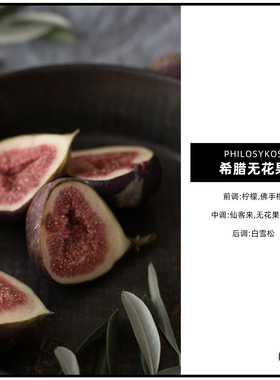 希腊无花果CANDLEWORKS香薰精油香薰蜡烛DIY材料香精香料3组