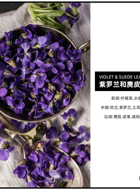 紫罗兰和麂皮皮革CANDLEWORKS香薰精油蜡烛DIY材料香精香料4组