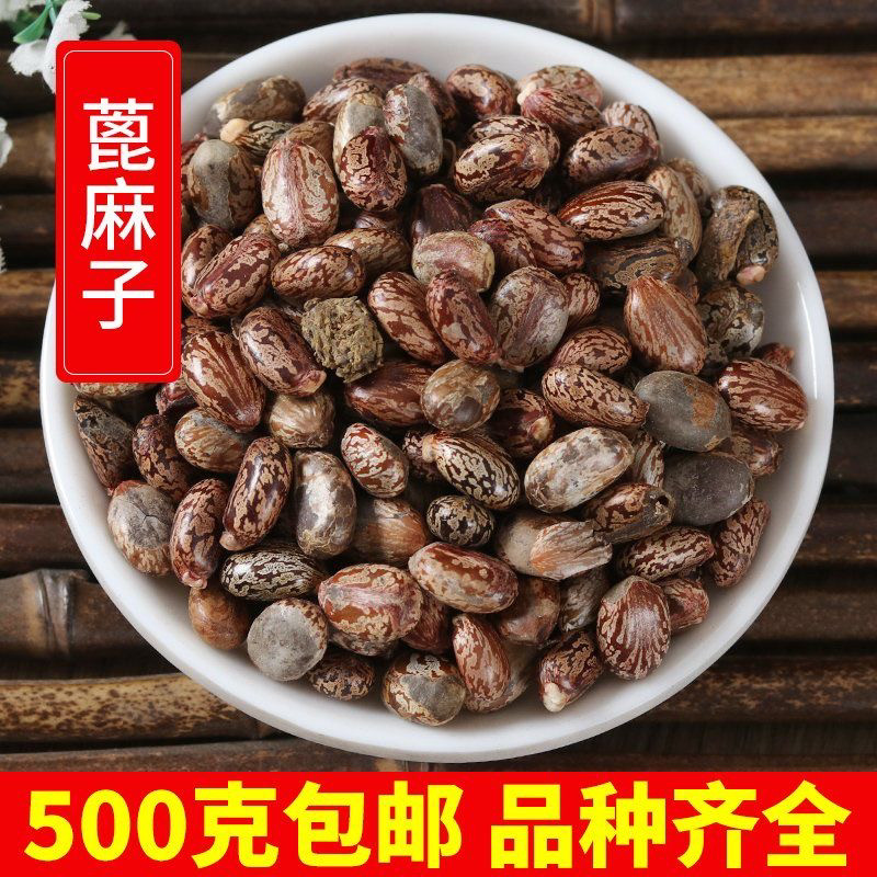 新货野生蓖麻子蓖麻籽500克包邮红大麻子中药材蓖麻仁蓖麻种子 - 实物图