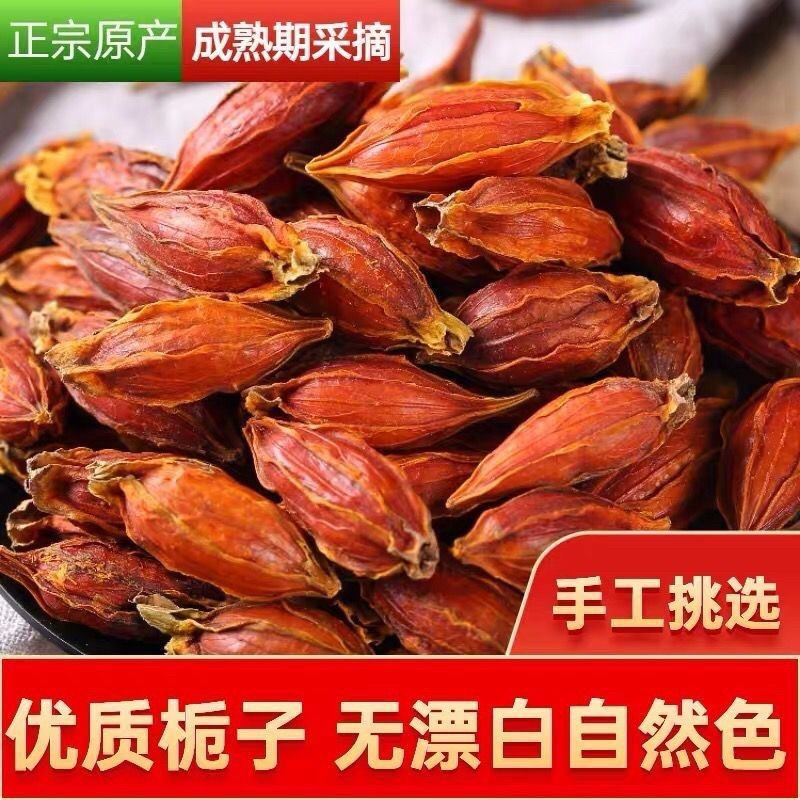 栀子中药材新货野生黄栀子果菊苣栀子茶栀子花粉卤肉上色栀子泡茶