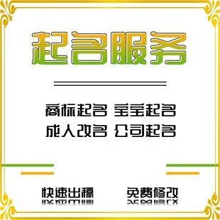 公司取名品牌起名字企业产品商标淘宝店铺公众号宝宝中英文名服务
