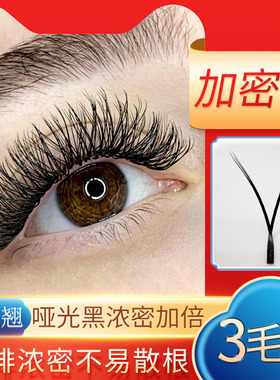 yy型欧美D卷翘0.07浓密3毛尖0.10粗超长15mmYY一秒开花嫁接假睫毛