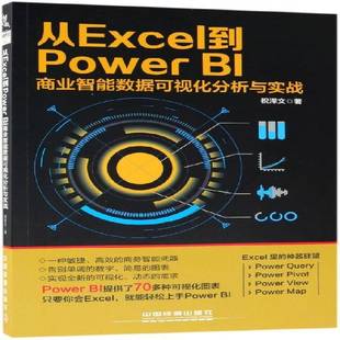 从Excel到Power BI商业智能数据可视化分析与实战书祝泽文商业信息数据处理 计算机与网络书籍