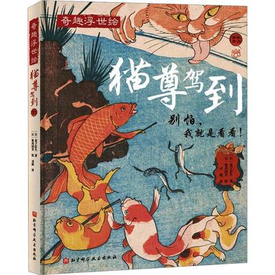 猫尊驾到书金子信久  艺术书籍