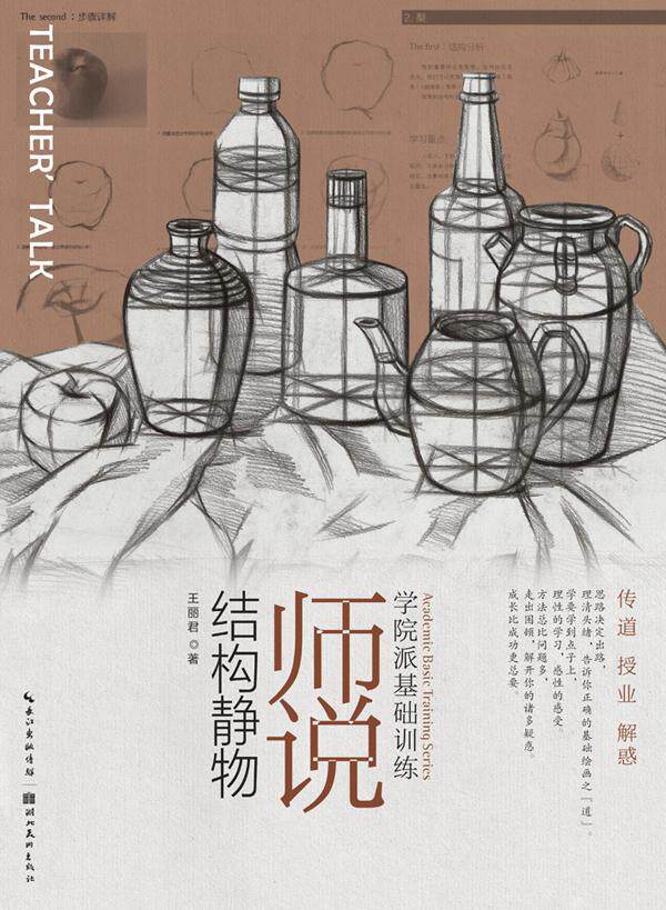 师说结构静物书王丽君静物画素描技法 艺术书籍