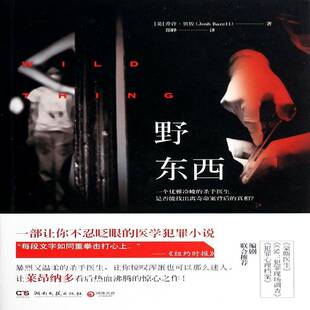 野东西书乔许·贝佐  小说书籍