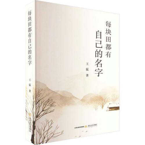 每块田都有自己的名字书王猛  文学书籍