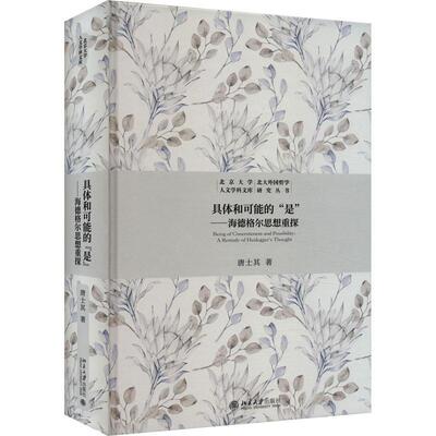 具体和可能的“是”:海德格尔思想重探:a restudy of Heidegger's thought书唐士其  哲学宗教书籍