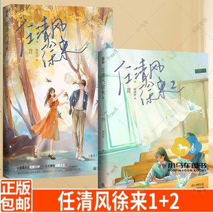 任清风徐来1 异形卡 阿回卅作品花火青春斗智斗勇双学霸初恋校园甜宠言情小说熠熠发光竞赛大神x古灵精怪油画才女书 海报