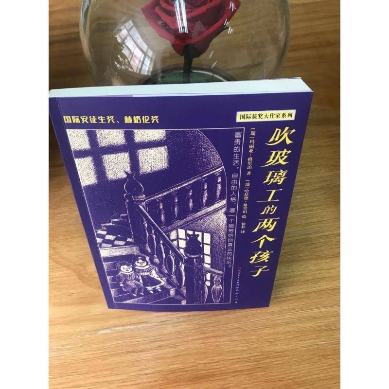 吹玻璃工的两个孩子书玛丽亚·格里珀儿童小说中篇小说瑞典现代小学生儿童读物书籍