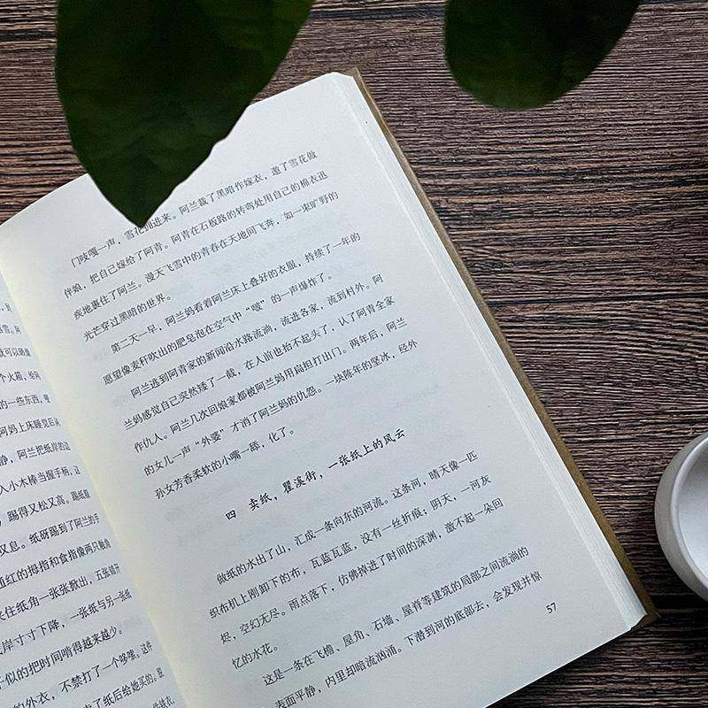 古游录书周吉敏  文学书籍