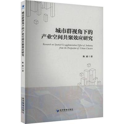 城市群视角下的产业空间共聚效应研究书陈露  经济书籍