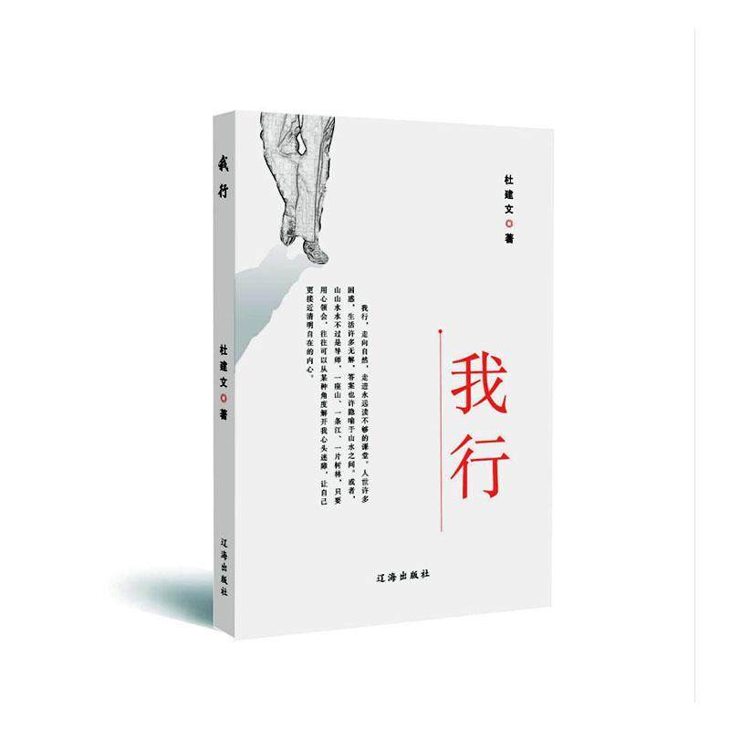 我行书杜建文  文学书籍