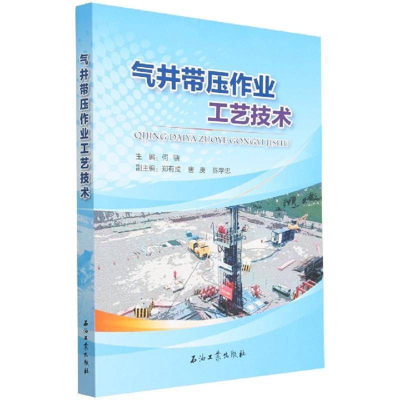 气井带压作业工艺技术书何骁  工业技术书籍