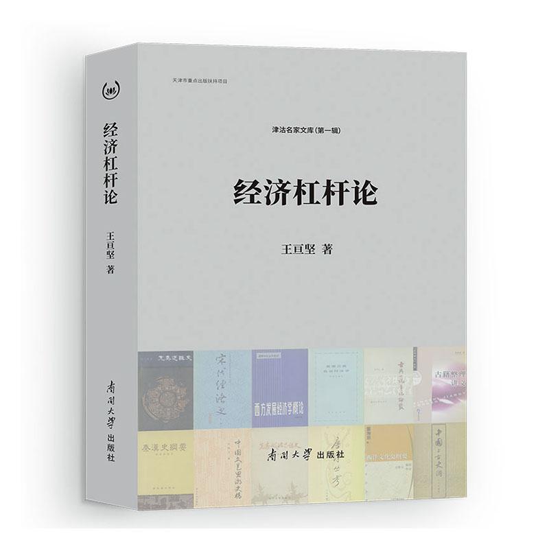 经济杠杆论书王亘坚  经济书籍