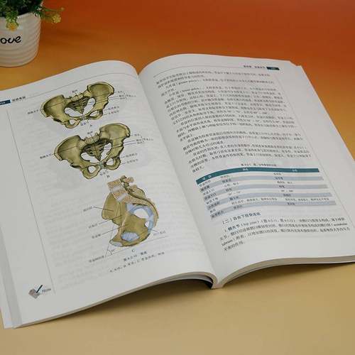 运动系统书孙晋浩  医药卫生书籍