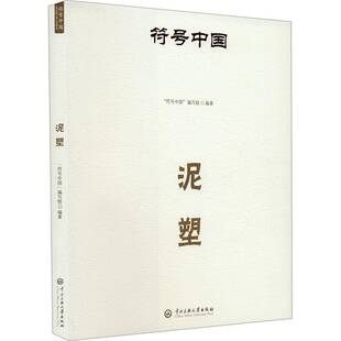 符号中国：泥塑书符号中国写组  艺术书籍