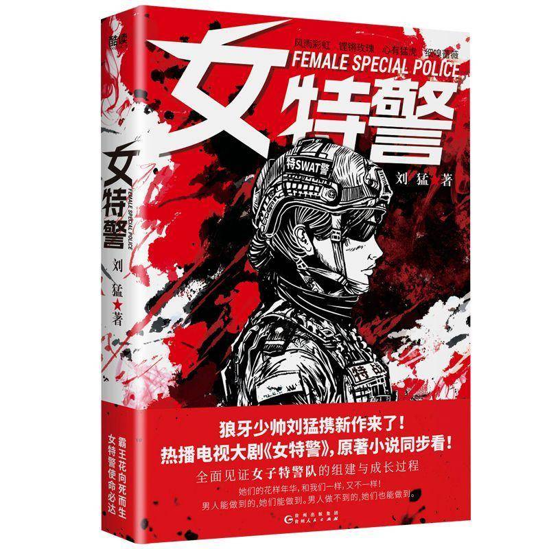 女书刘猛  小说书籍