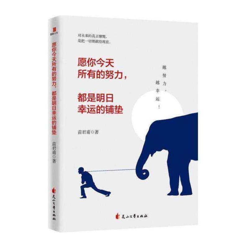 愿你今天所有的努力,都是明日幸运的铺垫书苗君甫 励志与成功书籍