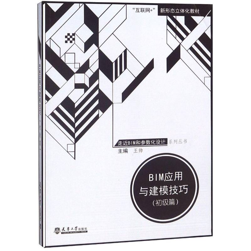 BIM应用与建模技巧：初级篇书王帅建筑设计计算机辅助设计应用软件 建筑书籍