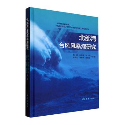北部湾台风风暴潮研究书陈波等  自然科学书籍