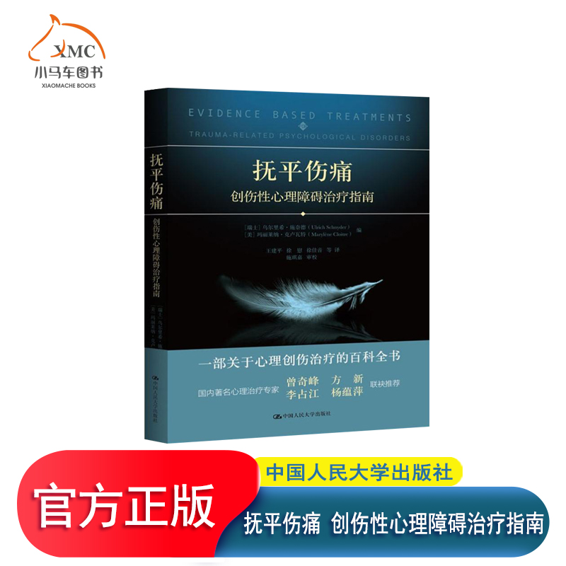 正版包邮 抚平伤痛 创伤性心理障碍治疗指南 PTSD创伤后应激障碍心理疏导与治疗 心理咨询与治疗手册 新型心理治疗方法应用心理学