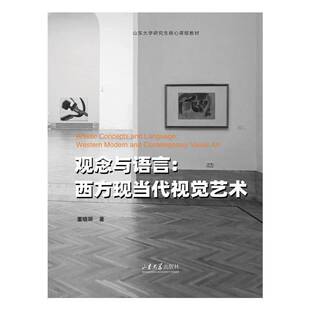 西方现当代视觉艺术书董晓丽 观念与语言 艺术书籍