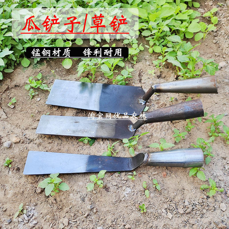 瓜铲压瓜铲子直铲长条铲锰钢锋利种瓜压瓜种菜挖菜移花移苗铲大号
