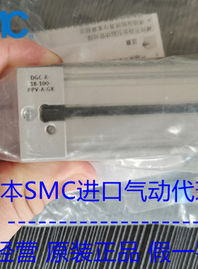 FESTO原装正品无杆气缸DGC-K-18-100-PPV-A-GK 1312500 现货