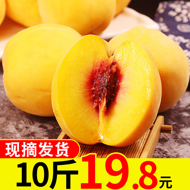 现摘黄桃10斤新鲜桃子当季孕妇水果蜜桃包邮整箱5桃应季时令脆桃