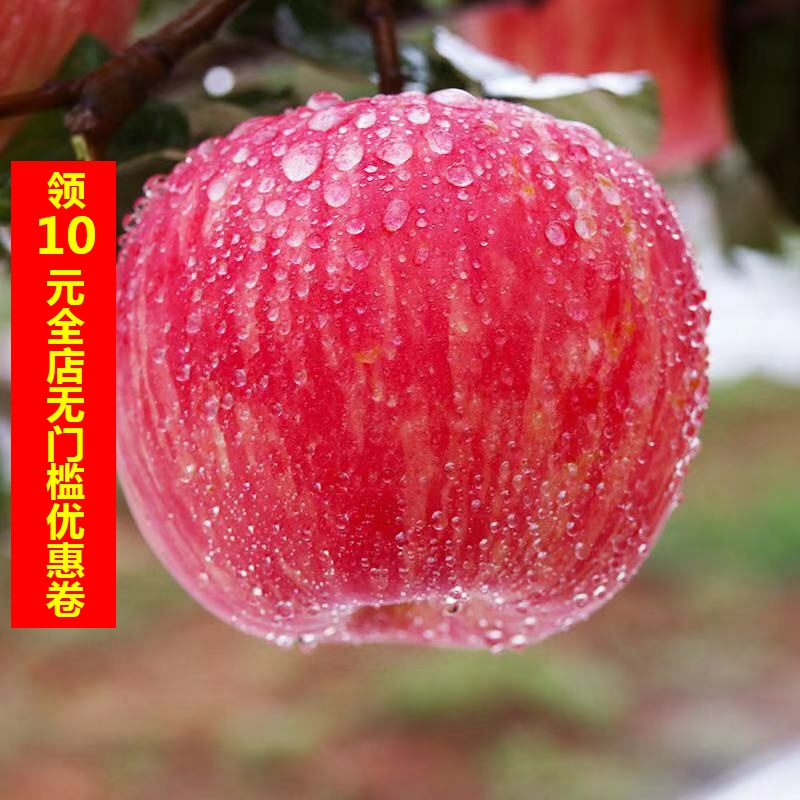 现摘陕西红富士苹果带箱10斤包邮新鲜水果当季整箱苹果